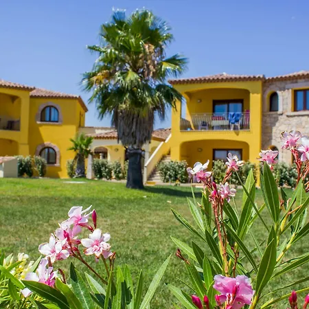 Gialle * サン・テオドーロ